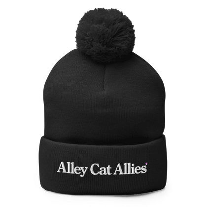Winter Beanie