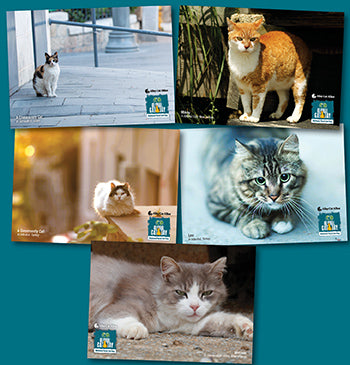 Global Cat Day Notecards