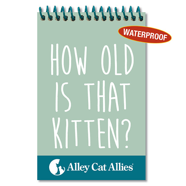 How Old Is That Kitten? Pocket Guide