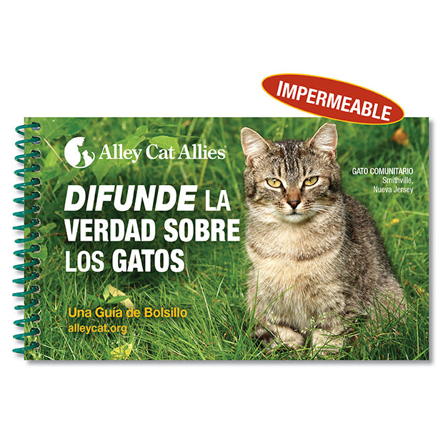 NEW: Share the Truth Pocket Guide – Spanish