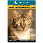Cómo Ayudar a Los Gatos Comunitarios