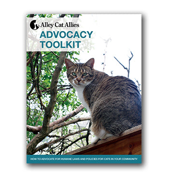 Advocacy Toolkit