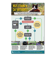 Help! I Found a Cat Outdoors