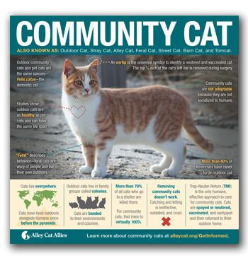 Animal Shelter Transformation Bundle - 3