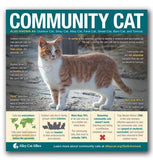 Animal Shelter Transformation Bundle - 3