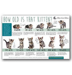 Veterinary Resource Bundle - 7