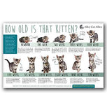 Veterinary Resource Bundle - 7