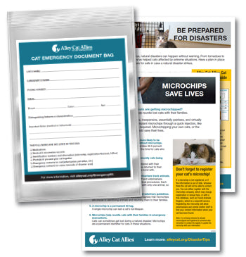 Emergency Document Bag