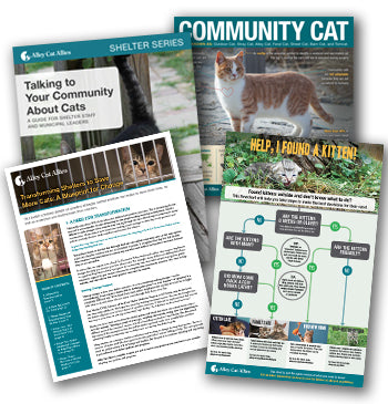 Animal Shelter Transformation Bundle