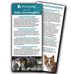 LES FAITS: Chats communautaires