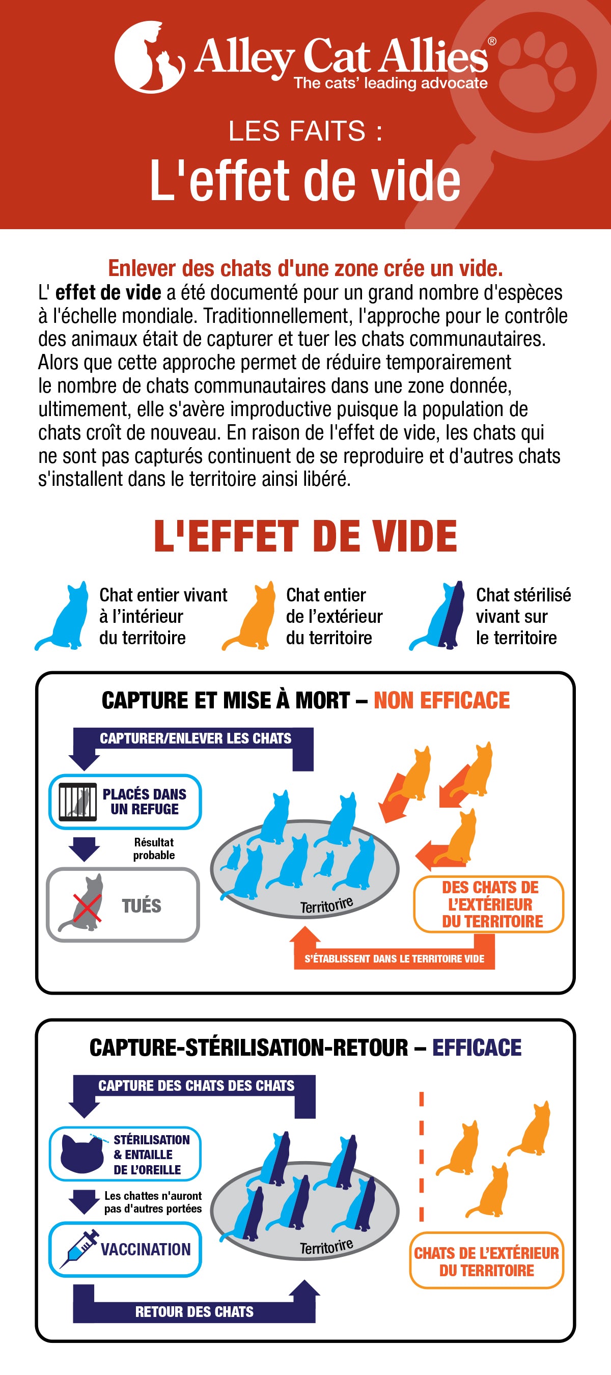 LES FAITS : L'effet de vide - 2