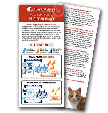 Advocacy Tools: En Español - 8